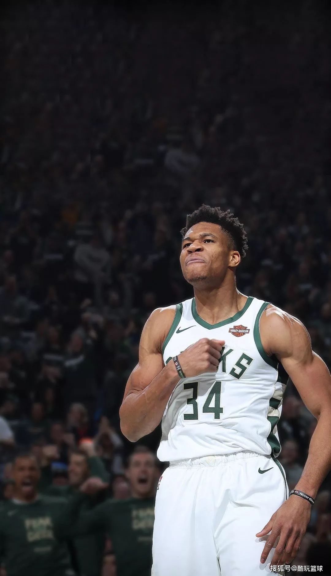 慈利：大型情景马术剧《茶马雄风》匠心焕新（慈利：《茶马雄风》大型情景马术剧焕新登台）